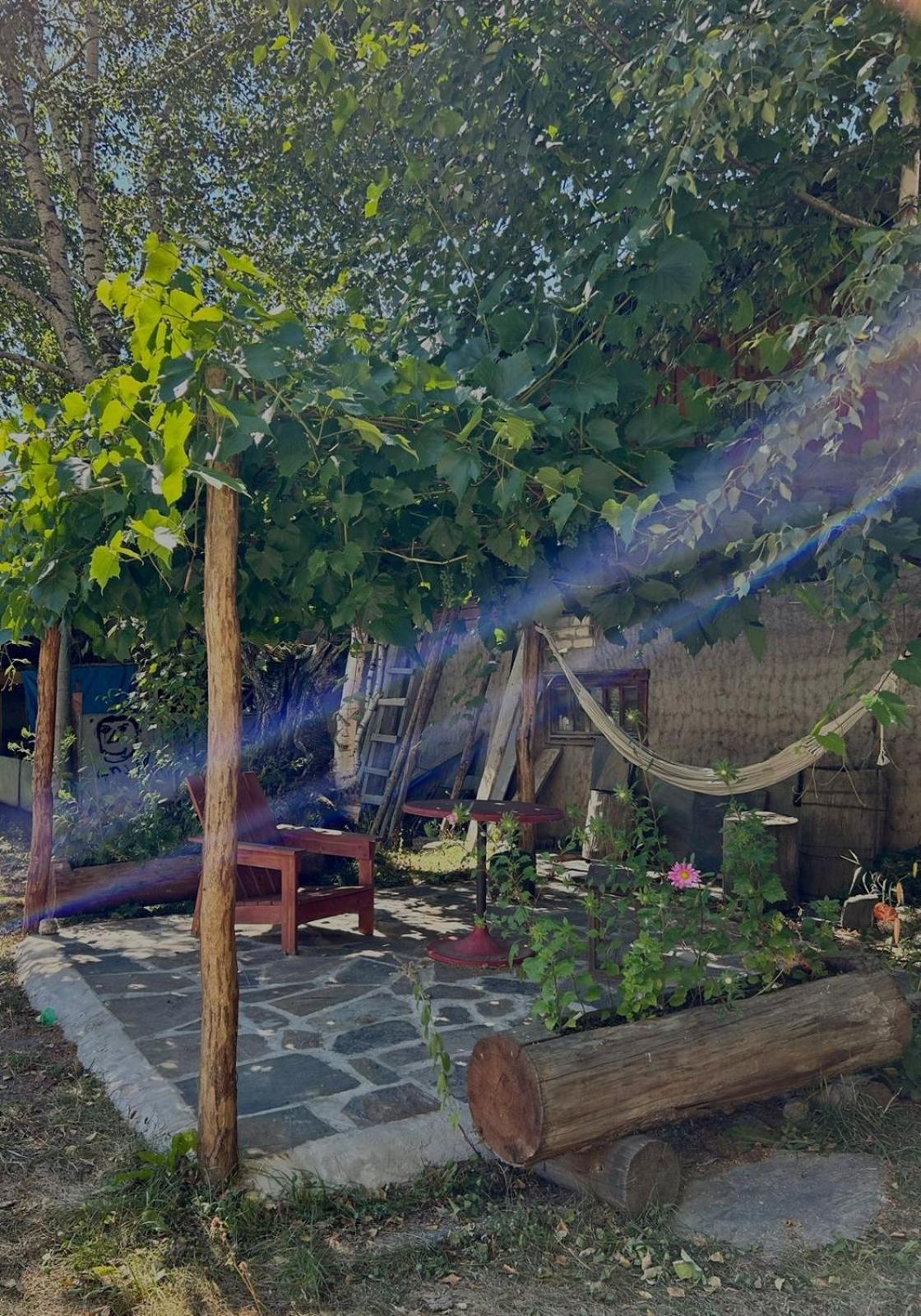 Beko'S Garden Inn 梅斯蒂亚 外观 照片